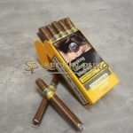 Cohiba Short 100'lü Avantaj Paketi (10x10 Paket) - Görsel 2